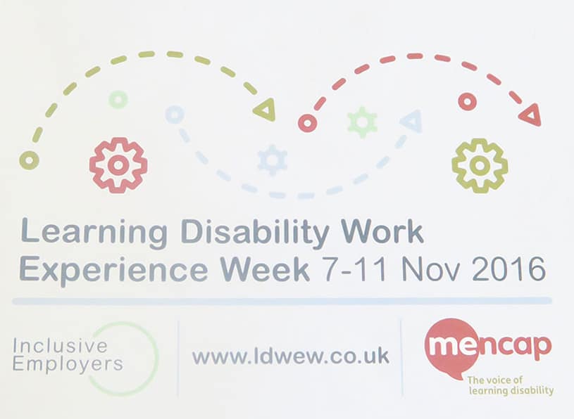 Learning Disability Work Experience